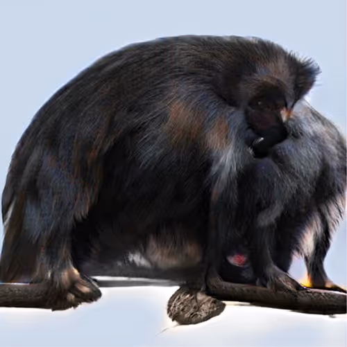 Item #25165159010796349408391416904280370168586934735114728746950981593589176336385 Media