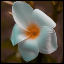 Flower #8