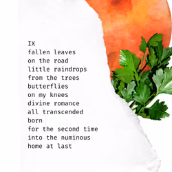 POETRY IX