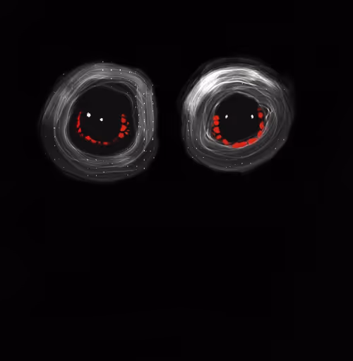 Item #12181377759058499481773365372983497870041092792744141993469646679515655569409 Media