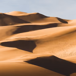 Sand Snakes