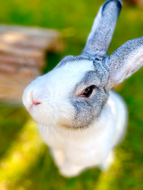 Item #32869077818189299338104486948782310907218303010195542765452093388008372305921 Media