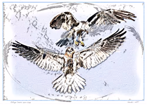 Item #113829610119937179277145653237989536661159515398728099625049874635875822862337 Media