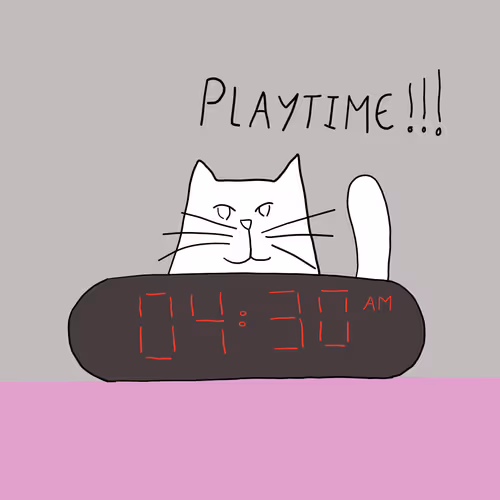 Item #84484640929577298491739762422853648584721934493634705153905291310911394414593 Media