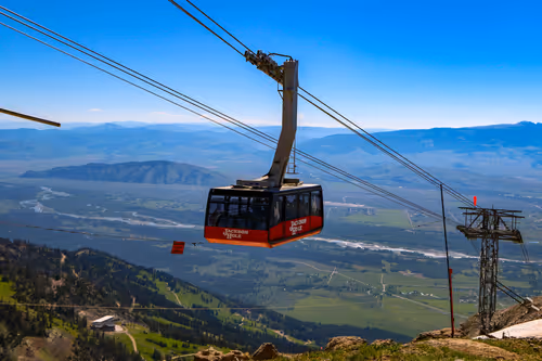 Item #44465766653785609870851624606881938772704909721973513553838201790682510655489 Media