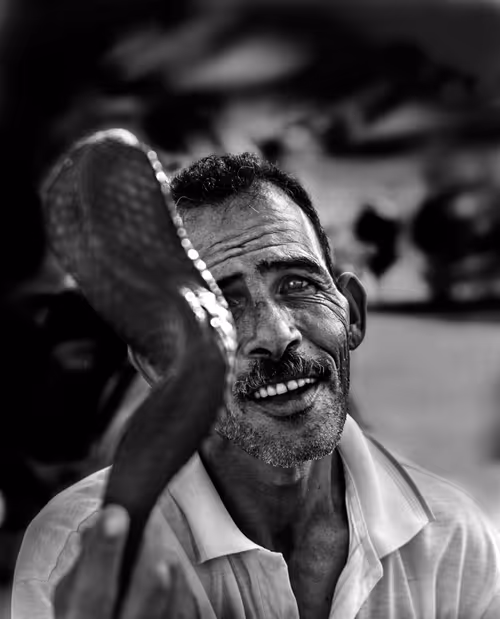 Item #20227266665588933887433646525944193582214398073362210482920990791964819456001 Media