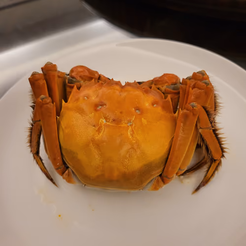 Incredible crab