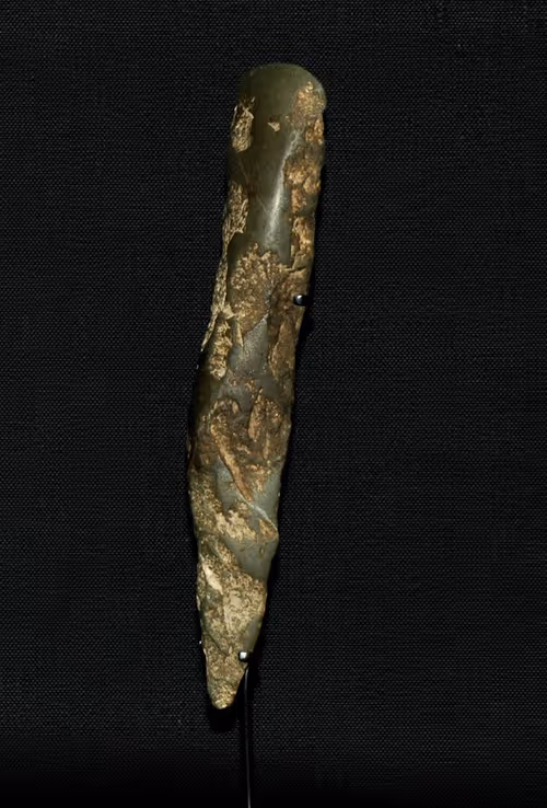 Item #13054743461556892059086844820140622319047360899879579049167545363521393917953 Media