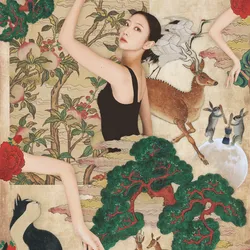 24956333727314601939583140656280832426414454120757961101380372866062320926721