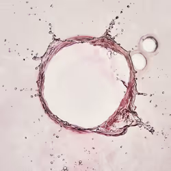 46489901761508154690977052556102681350934379687164571149816291717294258651137