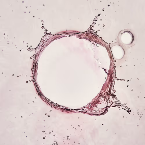 46489901761508154690977052556102681350934379687164571149816291717294258651137