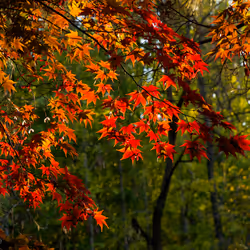 15099377614674255729827518037484709840880486279639044345484425421424066297857