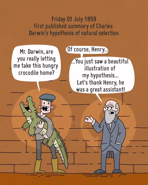 Item #3822153115375046811383226818567566596502772916270780797402783029183593316353 Media