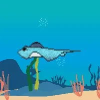 Etherfishing