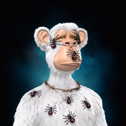 SSR SPIDER APE #02