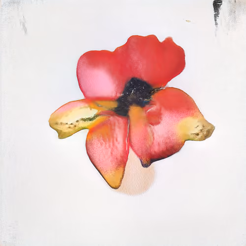 Record Seed 038