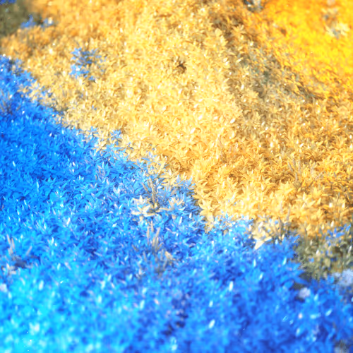 eduard_ov Collection