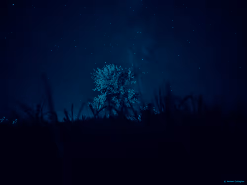 Untitled Collection #174813736