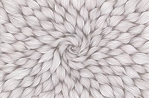 Item #56231055166534768819260761756004250554455450585187543117911899984809022193665 Media