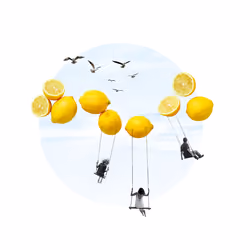 When Life Gives you Lemons