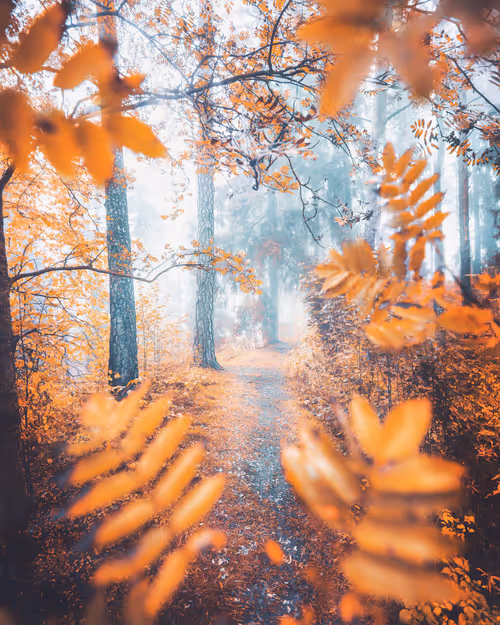 Item #134489906944514601836567189437532879130233761745768622289177272304317497345 Media