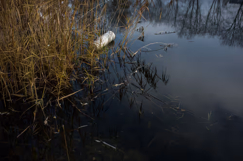 Item #88837150709499798352031986971363165703044907958800399059978422685339993767937 Media