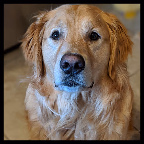 Item #106495276592435919470568425369488009874844936823784433162656833207251291340801 Media