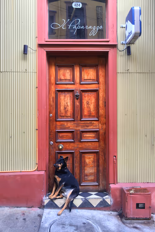 Item #28023026166759390679061689052984814586088125490502188211510750805158717816833 Media