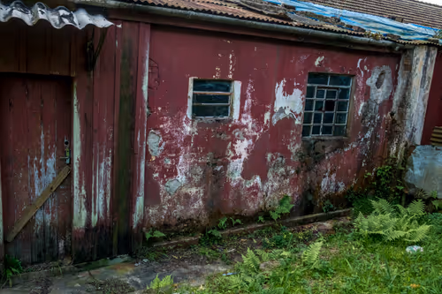 Item #105836017771423557183931558277920297823919466206112556630061826456558965358593 Media