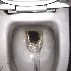 12660136923828748263426703316480839463053827608546839420335323729342761009153