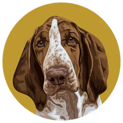 54766349128176429303044182404049584425310907481653304317570413978211332390913