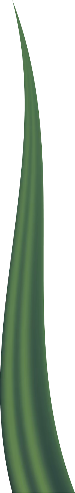 Item #78763235517899702300642317908544281341520076745003203023483945976316030877697 Media