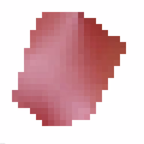 Bitwork