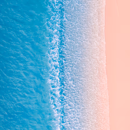 VIP Collector Pieces