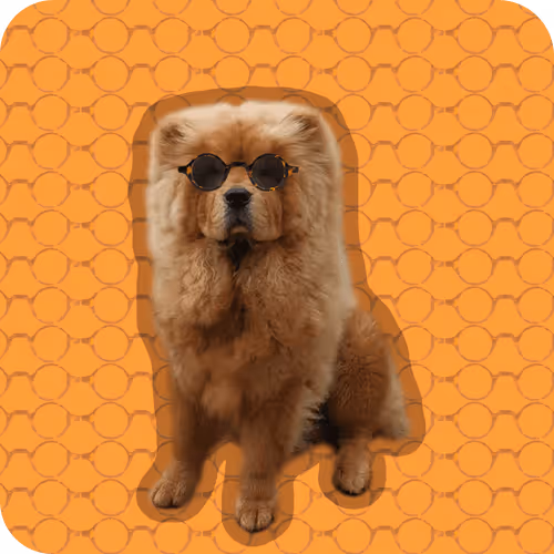 Item #18069411133127541891764540209837632150727605560921678338142275889612952961025 Media