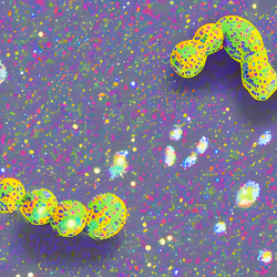 22772742530994404283160777428808967546850895120671873777941367369026412478465