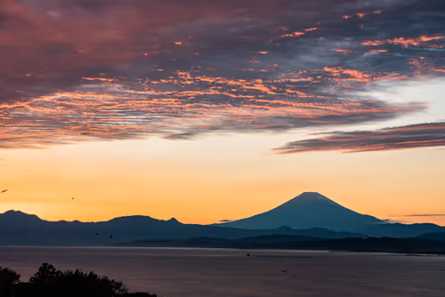 Item #108911492996146874115956011896780761878527851196280444702557873470987921522689 Media