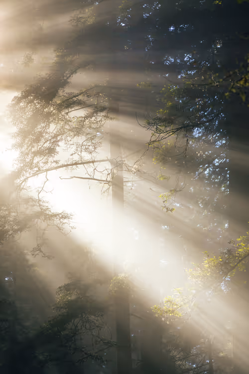 Item #99379921276153973634104125152908526548510783699959858376338453575504104521729 Media