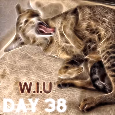 Item #39423832963151627607691891064013214374554670685362285359898062746990036385793 Media