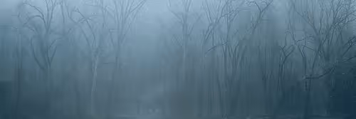 Surprising Wide Ones