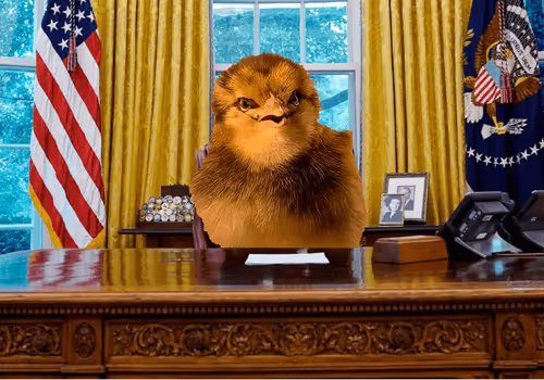 Matthew_Leo_Author Collection