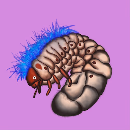 Item #63394889464776947640994999177042947820752530038038357440375934268059785625601 Media