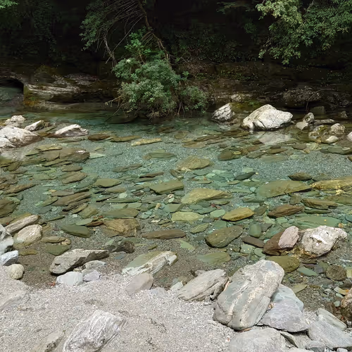 Untitled Collection #30721125