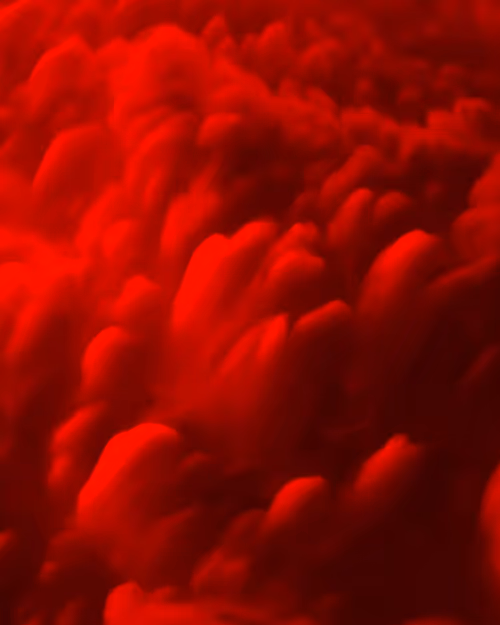 Item #20017967380901690084241553034656833281118552242077922707542247215455572852737 Media