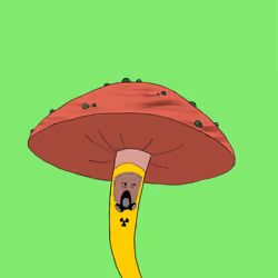 #001 Toxic Spill Analyst 