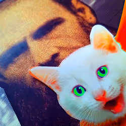 4747115153065902387790593868107453782499677024781155622119190059870660329473