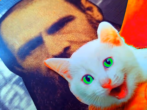 Item #4747115153065902387790593868107453782499677024781155622119190059870660329473 Media