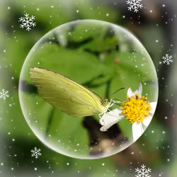 Butterfly Crystal Ball #42