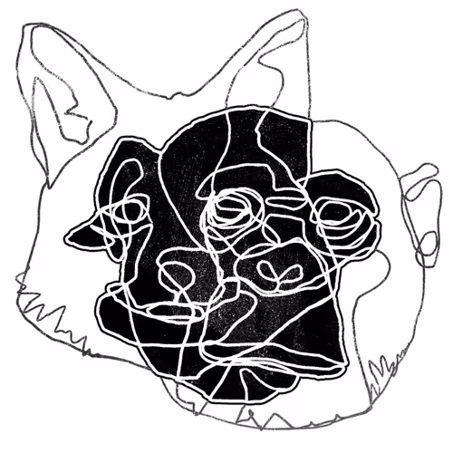 Item #10674423169027609588700307222221856685568055800651836493280673662396811706369 Media