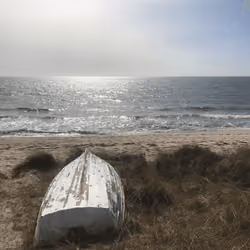 newbridgebeach #26